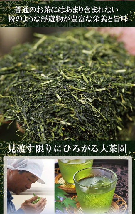 Wakoen Tea Farm: 2022 Kagoshima Fukamushicha - Miyabi 和香園 深蒸し茶 雅 - yunomi-jp.pro