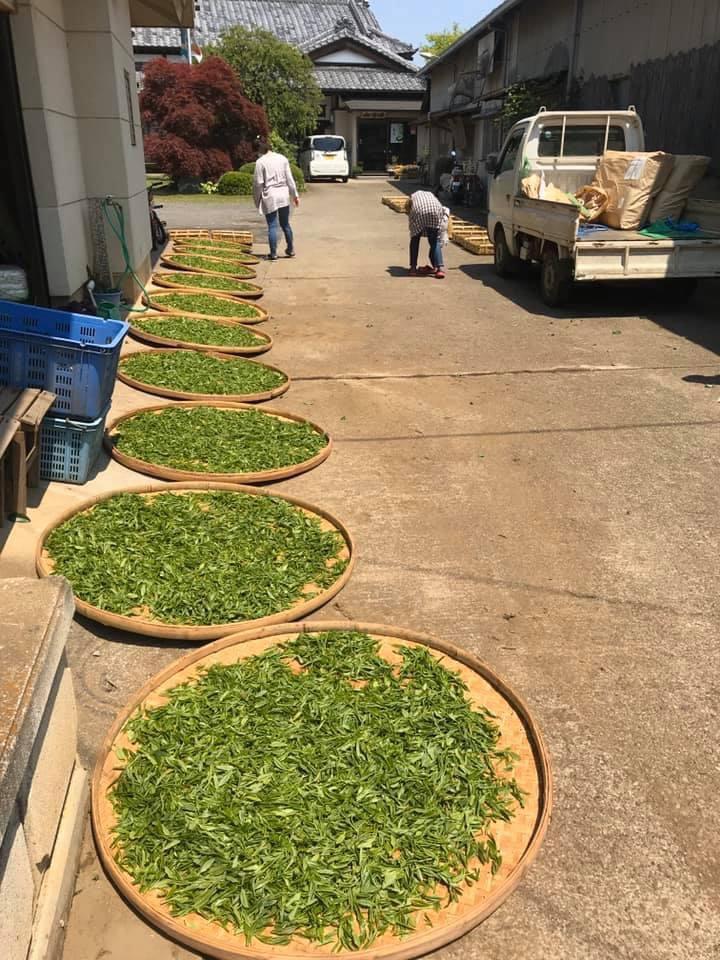 Withered Sencha Green Tea - #01 Yume Wakaba, Single Cultivar by Okutomi Tea Garden - yunomi-jp.pro