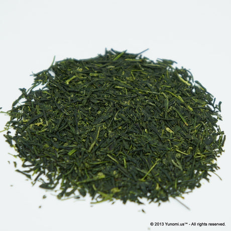 Yokota Tea Garden: Sayamacha Fukumidori (deep green sencha) - yunomi-jp.pro