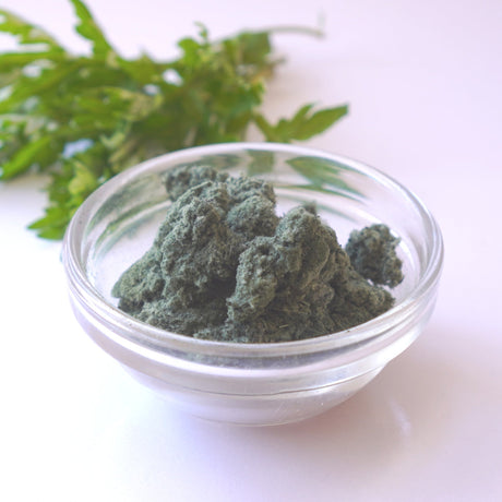 Yomogi (Mugwort) Powder from Aomori, Kyo no Kanbutsuya 京の乾物屋 青森産よもぎ使用よもぎ粉　 - yunomi-jp.pro