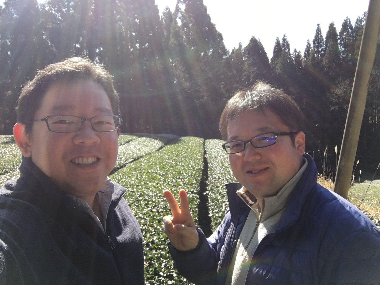 Yunomi Services: Tea Business Consultations - yunomi-jp.pro