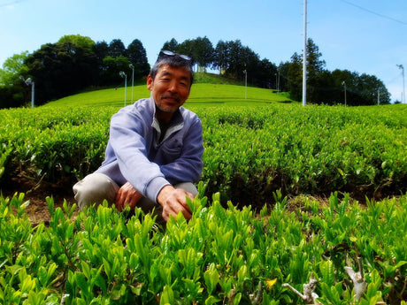 Zenkouen Tea Garden: #01 Daichi no Meicha - Imperial Grade 極上 Shizuoka Sencha (JAS Organic) - yunomi-jp.pro