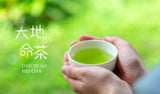 Zenkouen Tea Garden #18: 2022 Daichi no Meicha - Single Cultivar Yabukita Shizuoka Sencha (JAS Organic) 大地の銘茶、やぶきた - yunomi-jp.pro